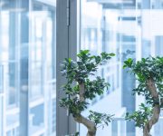 Impressionen VMR - Gebäude