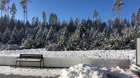 Winter in Mönchweiler